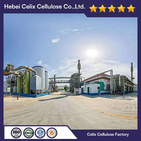 Nhà máy celix 18 năm