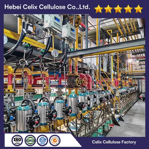 Nhà máy celix 18 năm