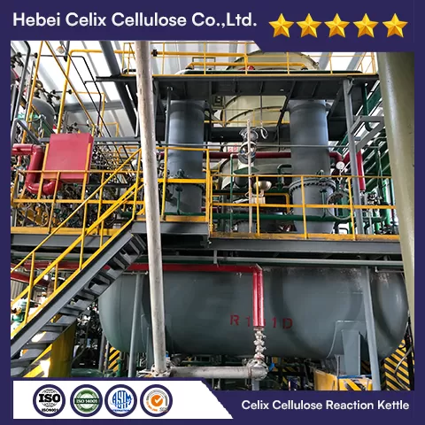 Nhà máy celix 18 năm