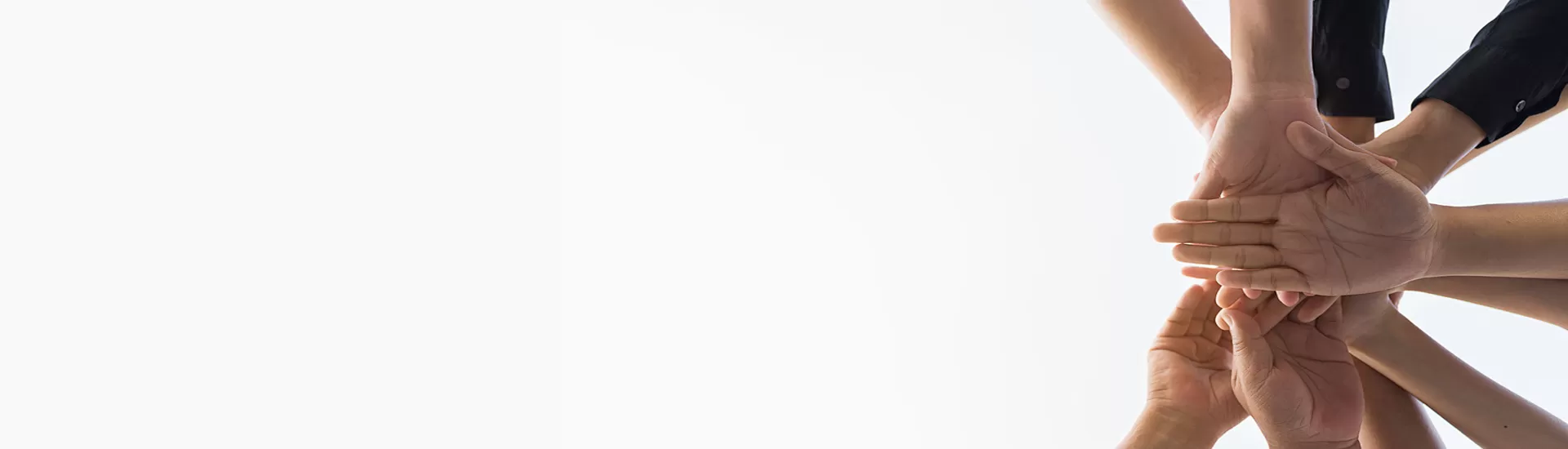 Chương trình hỗ trợ đối tác & đại lý toàn cầu: Xây Dựng Tương Lai bền vững với celix