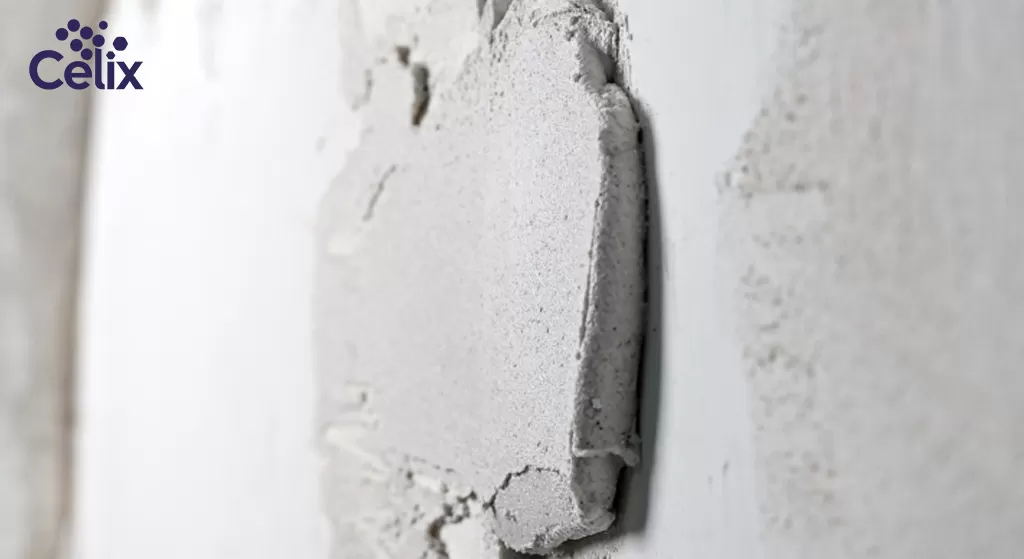 Phòng Thí Nghiệm Celix Cellulose Kiểm Tra Vữa Thạch Cao Biến Tính Bằng HPMC