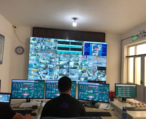 Tuân thủ các quy định