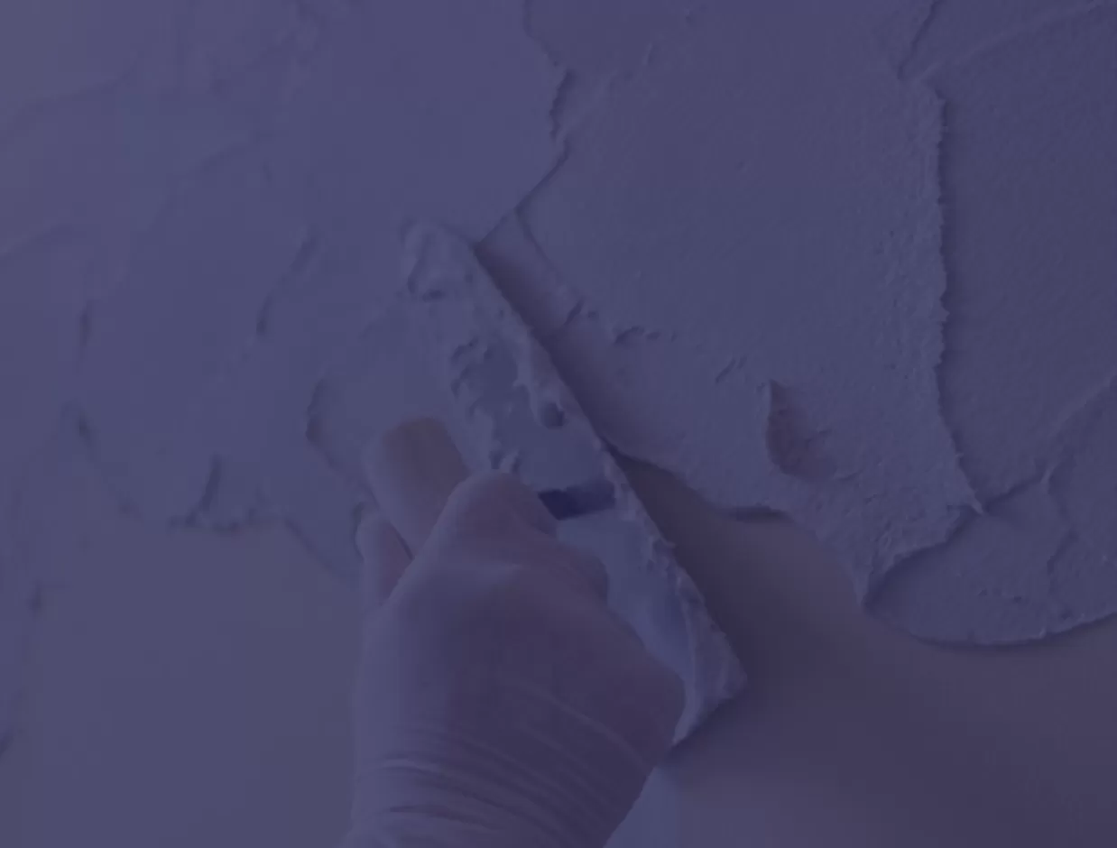 Hydroxypropyl Methyl Cellulose (HPMC)