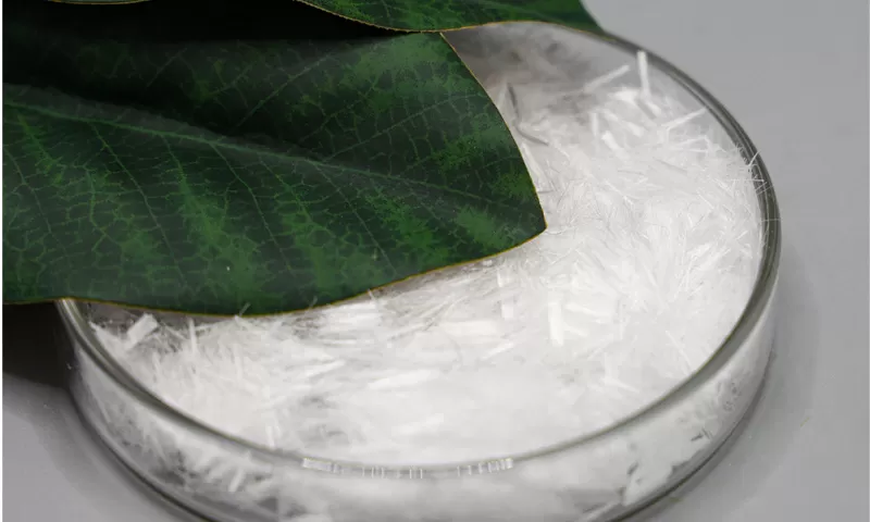 Sợi Polypropylene cho chi phí