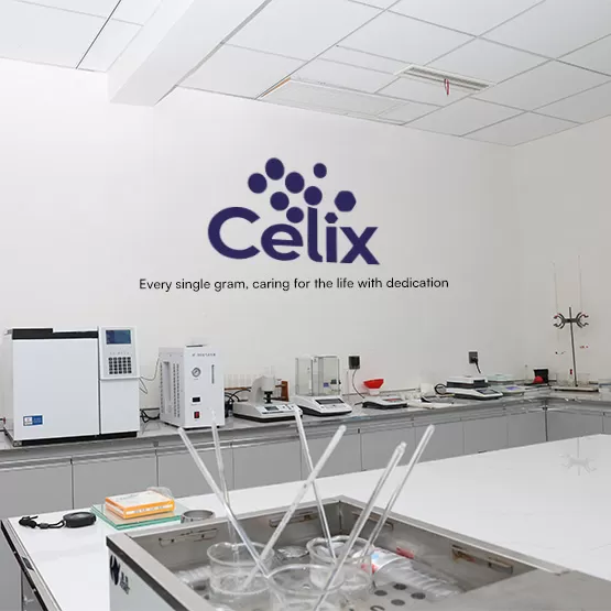 Chuyên gia kỹ thuật tại Celix Cellulose đang xác minh dữ liệu lô trên Chứng chỉ Phân tích (COA) cho xuất khẩu HPMC Chuyên gia kỹ thuật tại Celix Cellulose đang xác minh dữ liệu lô trên Chứng chỉ Phân tích (COA) cho xuất khẩu HPMC
