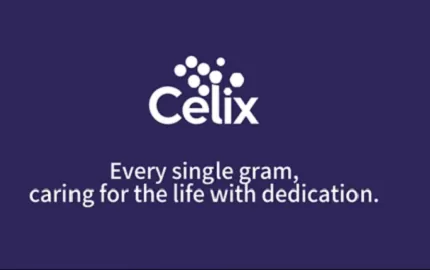 Tại sao các dự án xây dựng toàn cầu tin tưởng Celix